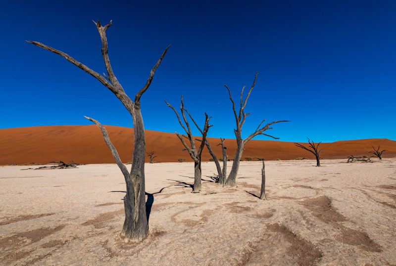 Намиб — древнейшая пустыня мира