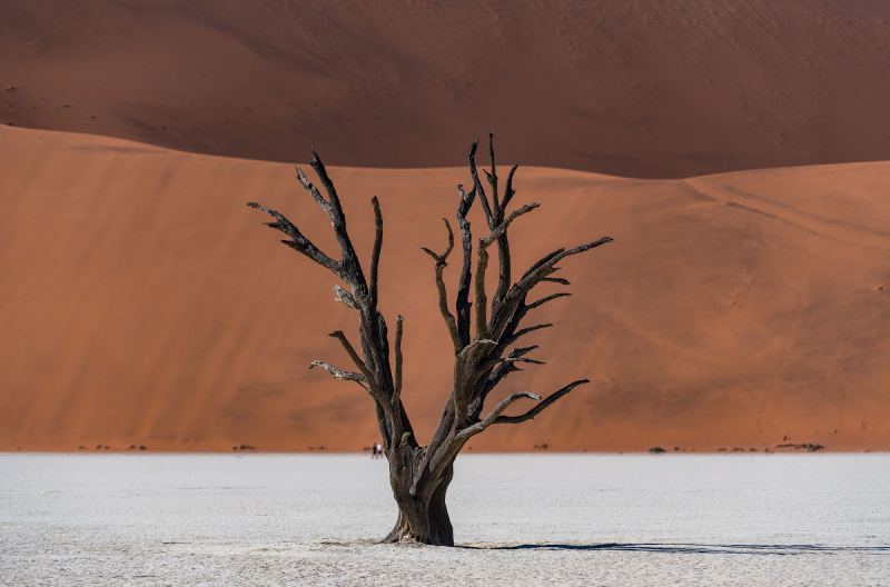 Намиб — древнейшая пустыня мира