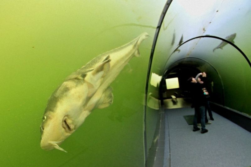 Туннель под озером в Чехии