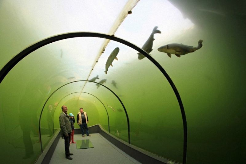 Туннель под озером в Чехии