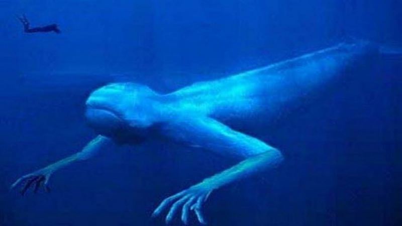 "Фэйк или нет?". Развенчиваем мифы о нескольких странных подводных монстрах, фотографии которых стали в интернете вирусными