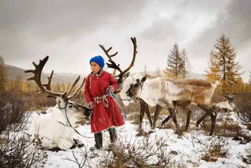 Фотографии участников ежегодного конкурса Sony World Photography Awards 2018