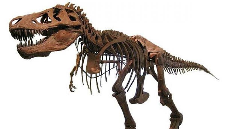 Гиганты древности, которые наводили ужас, Тираннозавр