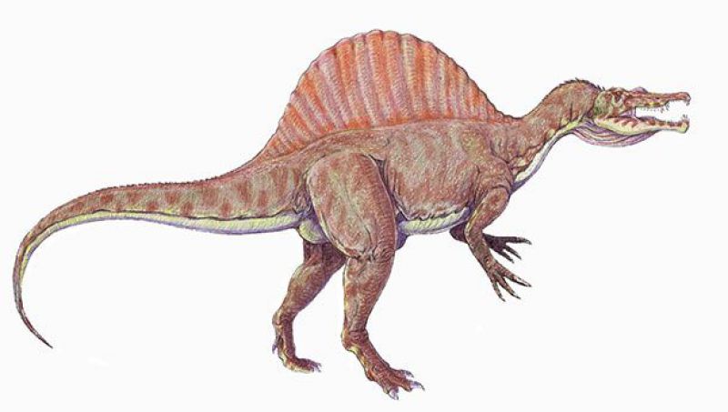 Гиганты древности, которые наводили ужас, Спинозавр