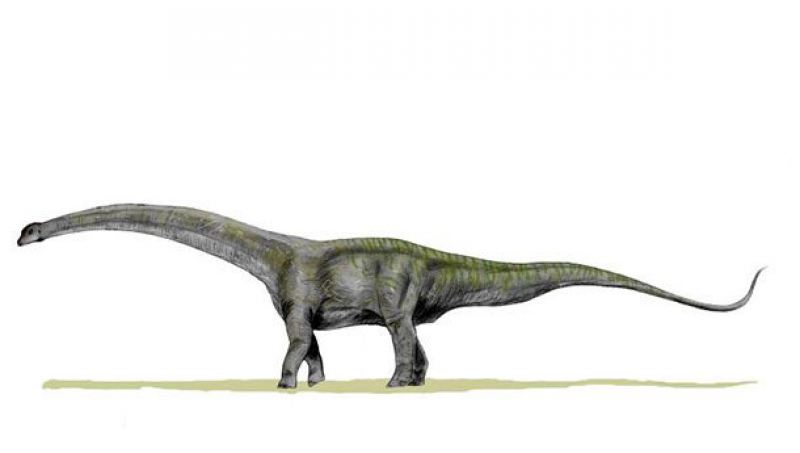 Гиганты древности, которые наводили ужас, Футалогнкозавр 