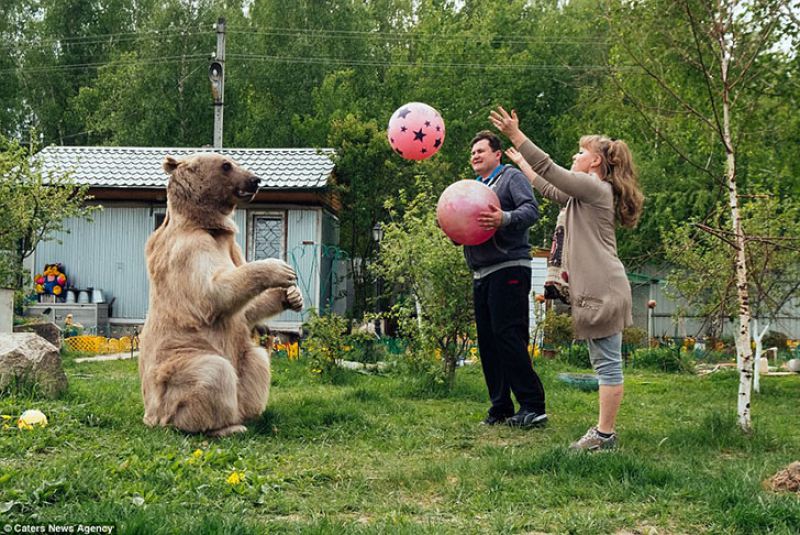Жизнь плюшевого зверя в российской семье