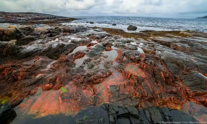 Суровое северное побережье Баренцева моря