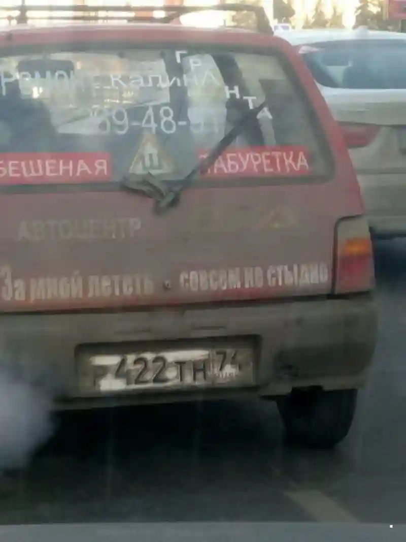 Автовсячина