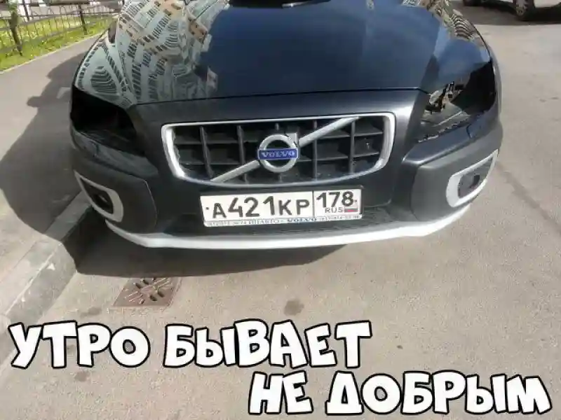 Автовсячина