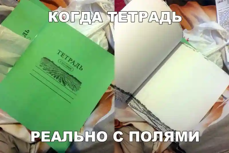 Смешные и забавные картинки