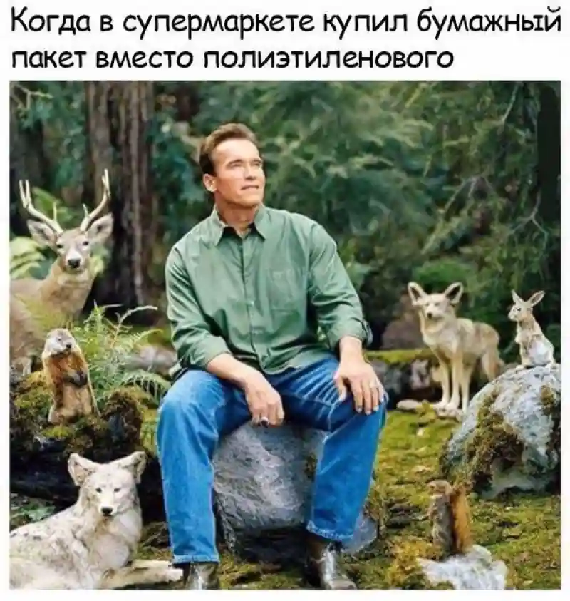 Смешные и забавные картинки