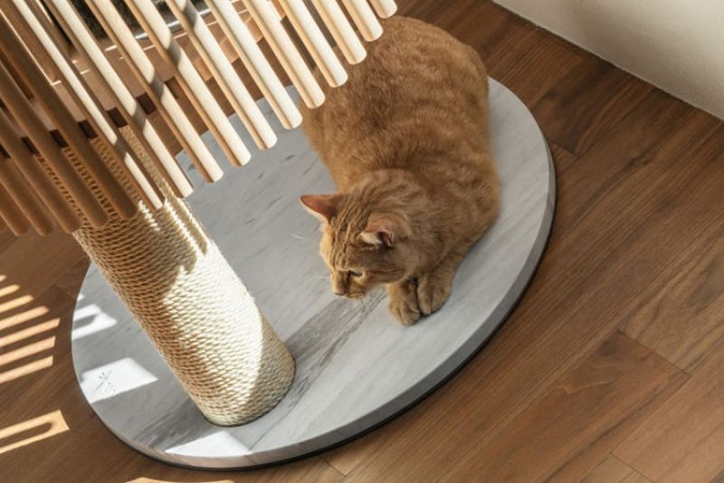 Домик для котов за полмиллиона рублей от японского дизайнера