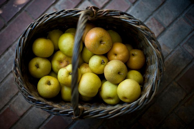 Эти продукты не хранят в холодильнике, яблоки и груши 