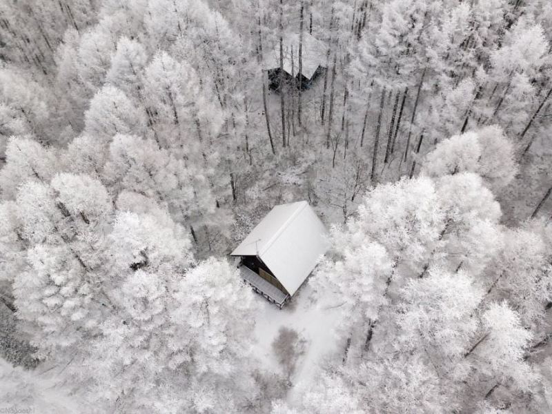 Настоящая зимняя сказка в Японии