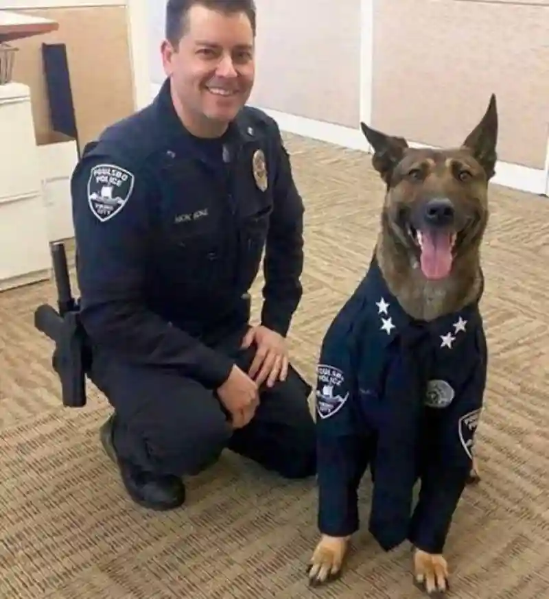 K9