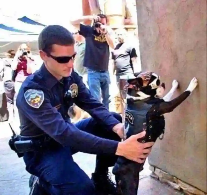 K9