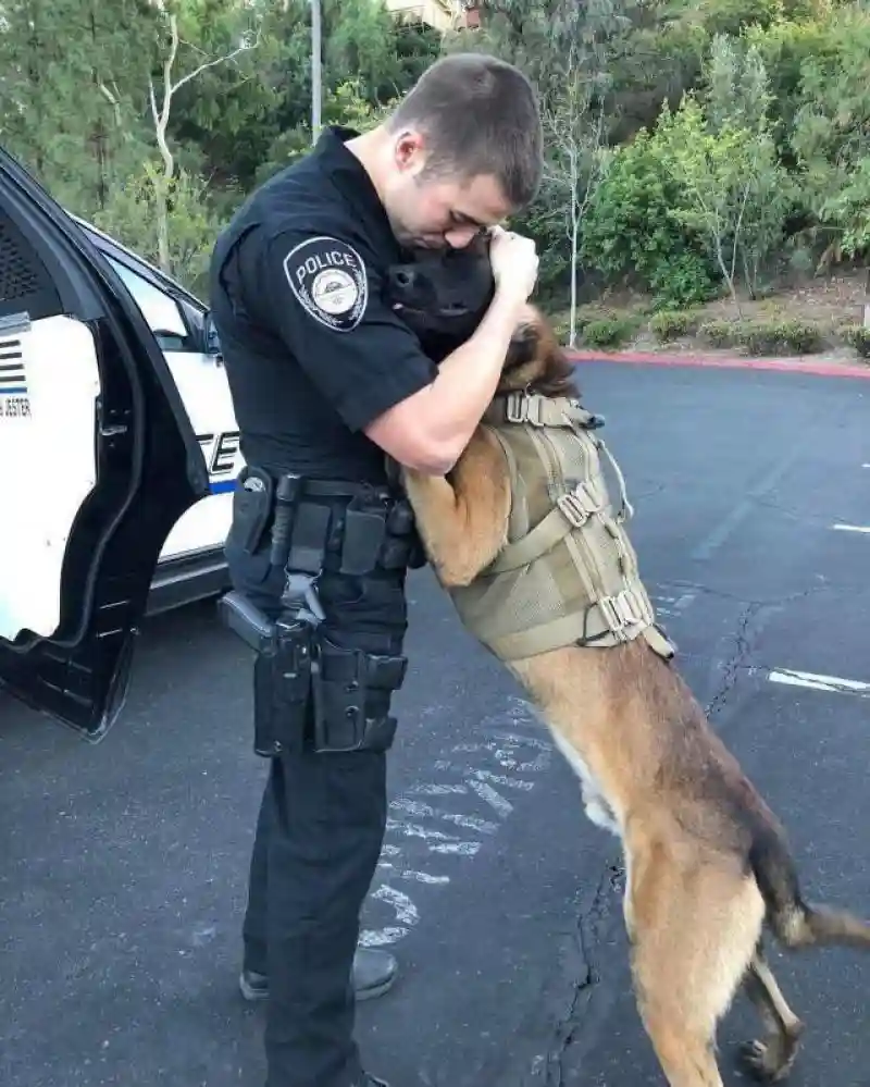 K9