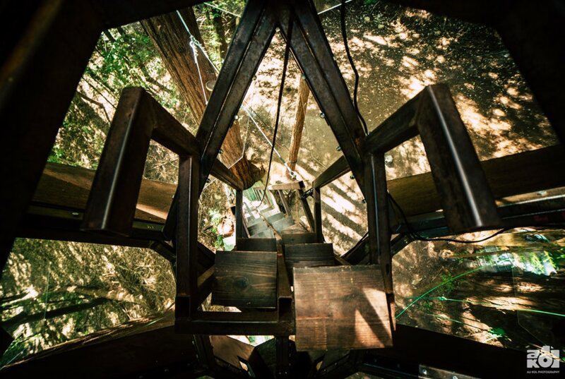 Для тех, кто любит высоту: фантастический дом на дереве