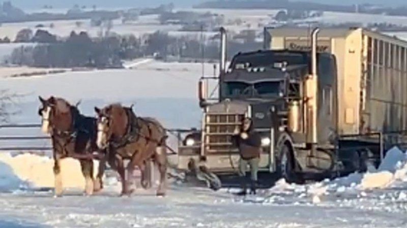 Две лошадиные силы спасают грузовик, застрявший на ледяной горке