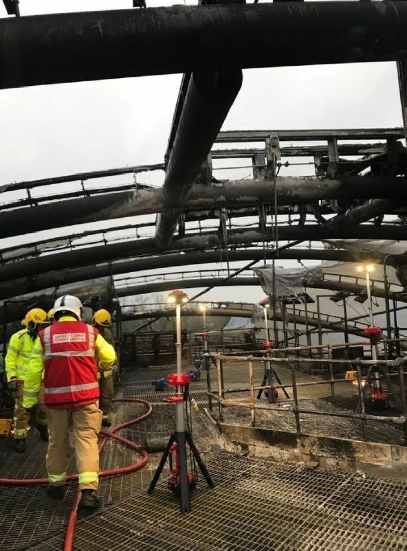 Пожар уничтожил павильон в одном из крупнейших зоопарков Британии