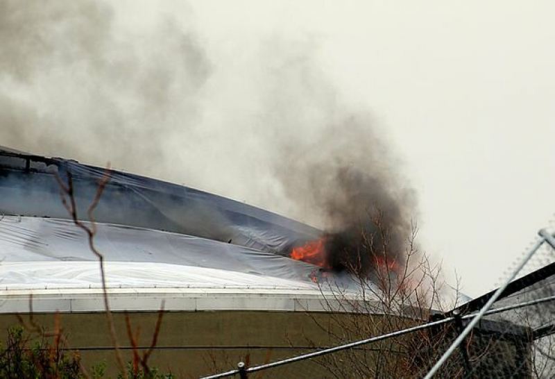 Пожар уничтожил павильон в одном из крупнейших зоопарков Британии