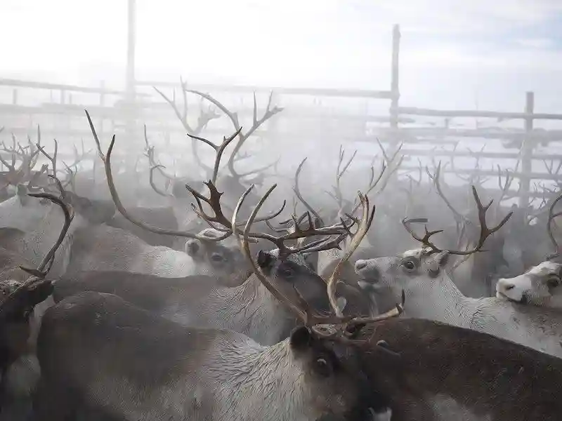 Русская Лапландия на снимках французского фотографа