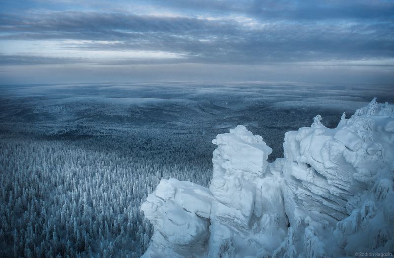 Конкурс лучших фотографий дикой природы России 2018
