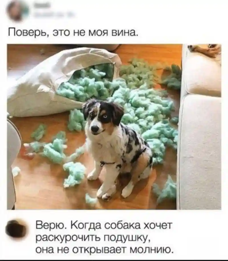 Прикольные и смешные картинки