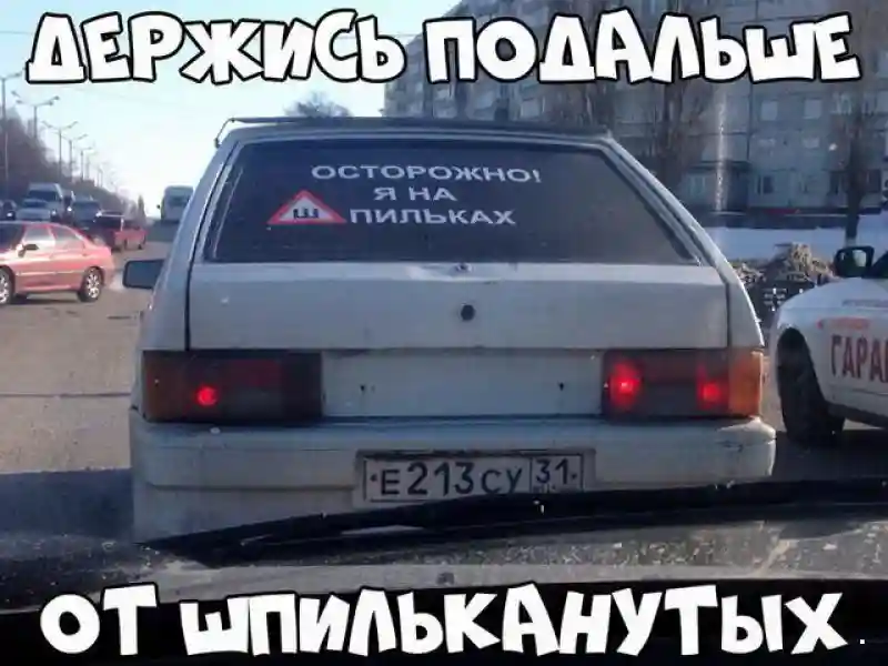 Автовсячина