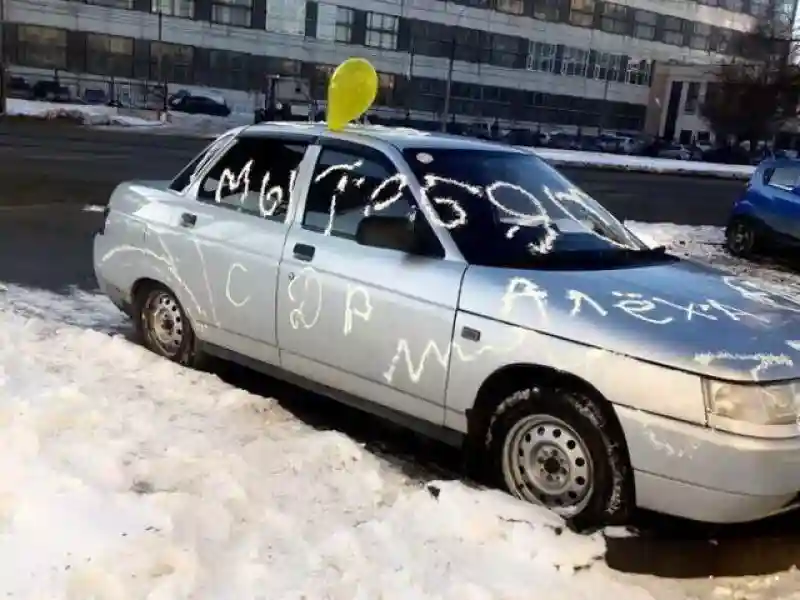 Автовсячина