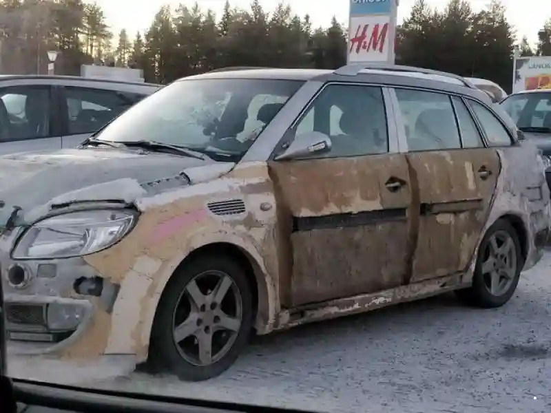 Автовсячина