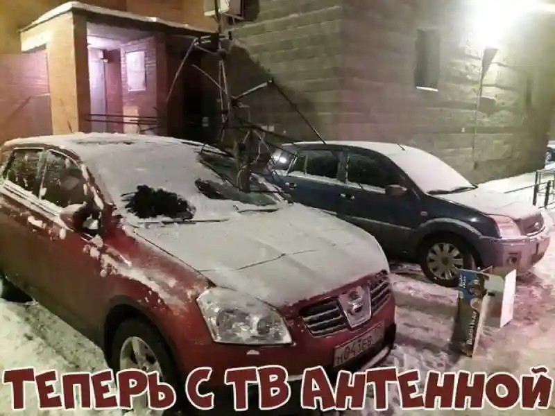 Автовсячина