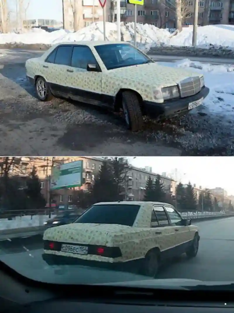 Автовсячина