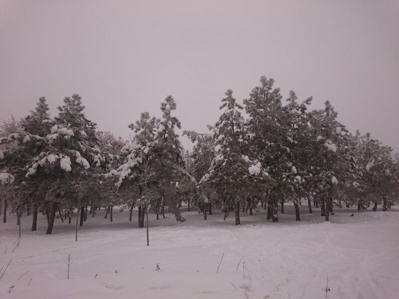 Зима в Волгограде