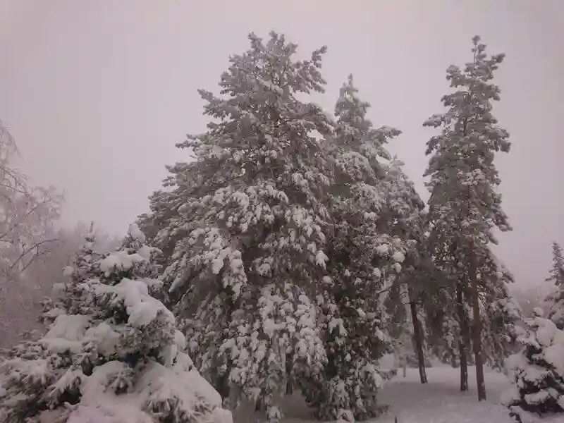 Зима в Волгограде