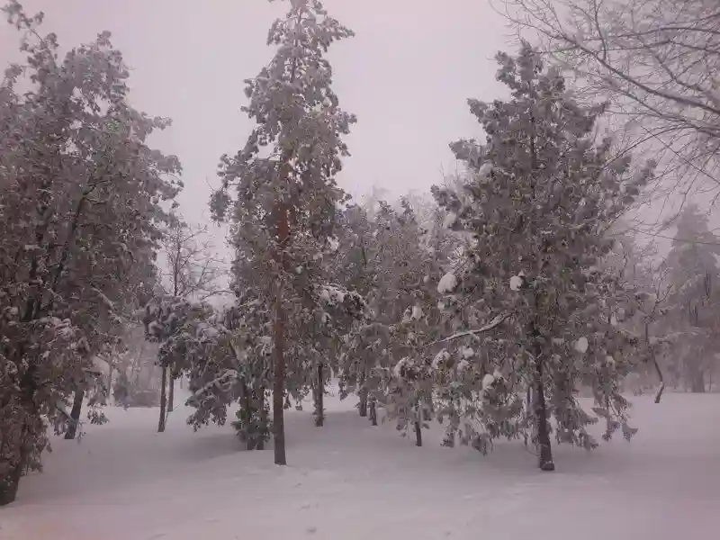 Зима в Волгограде