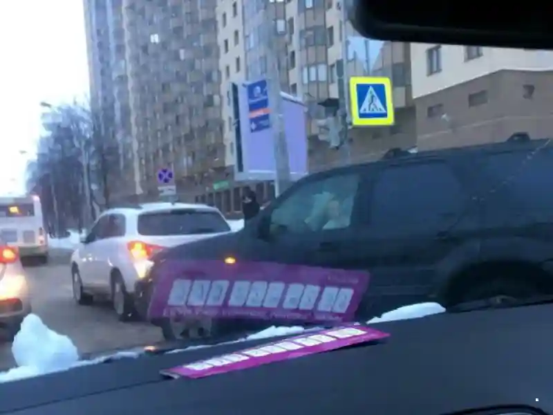 Автовсячина