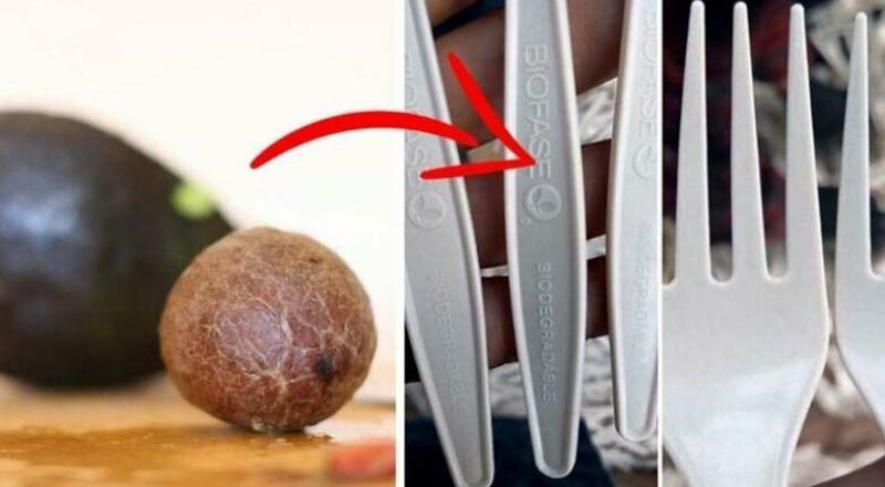 Мексиканская компания использует косточки от авокадо для создания