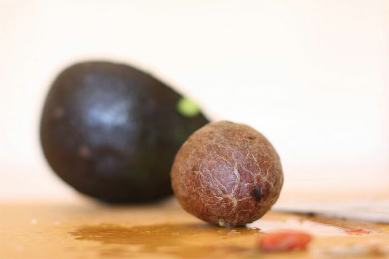Мексиканская компания использует косточки от авокадо для создания