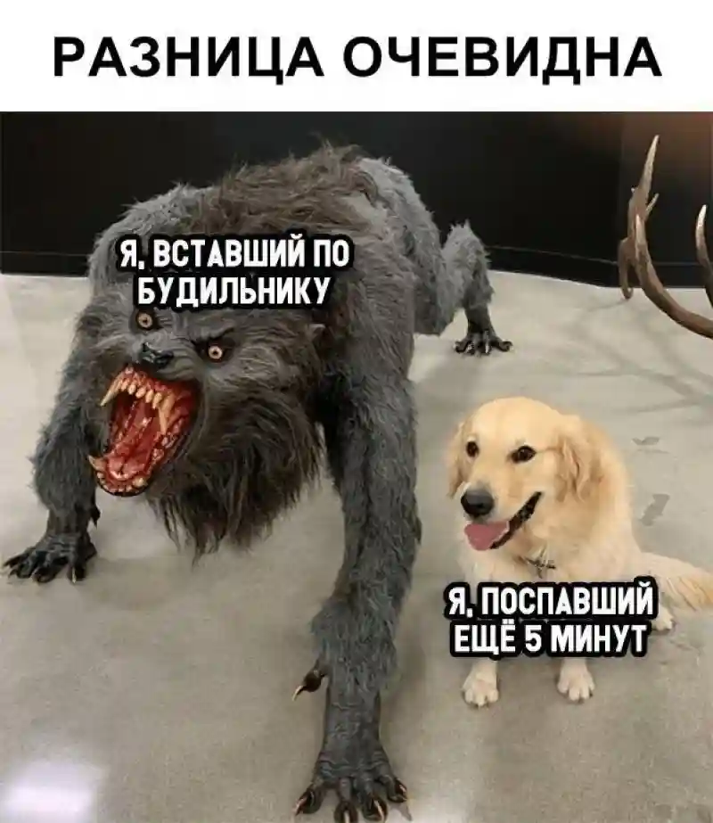 Намешалось