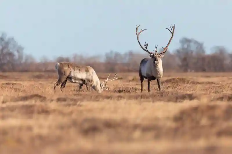 В сердце Камчатки