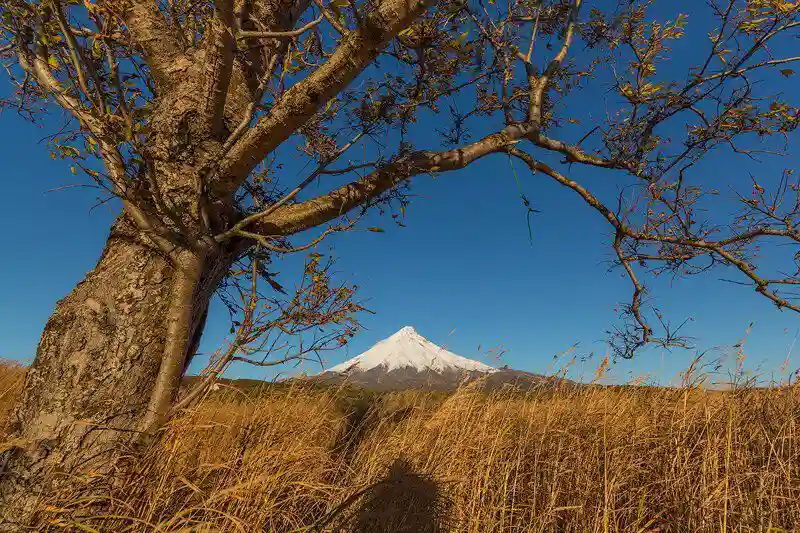 В сердце Камчатки