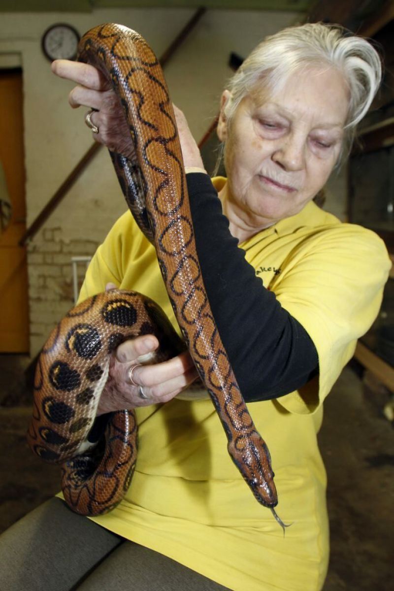 Бабуля потратила миллионы, чтобы стать королевой змей