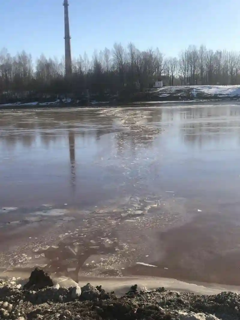 Мужчины спасли из ледяной реки собаку, которая оказалась волком