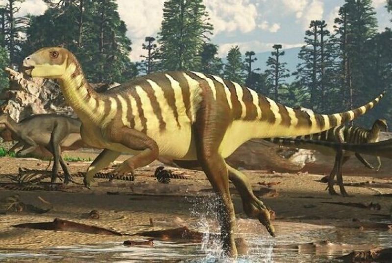 Австралийцы назвали новый вид динозавра в честь корабля