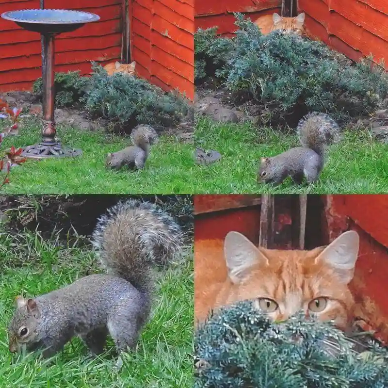 С добрым утром!