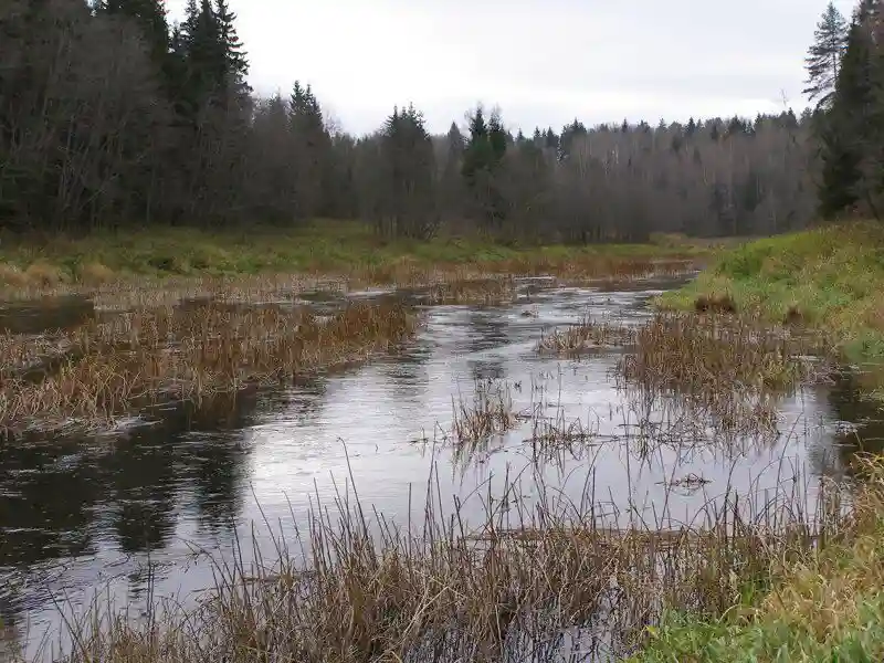 Осенняя Дёрва