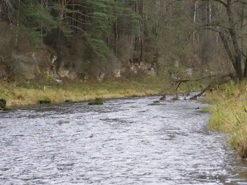 Осенняя Дёрва