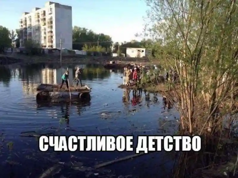 Прикольные и смешные картинки