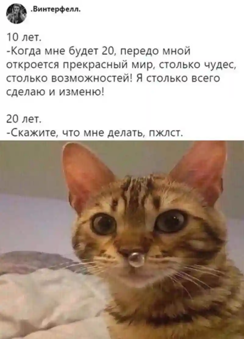 Прикольные и смешные картинки